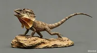 Frilled Lizard